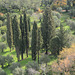 Greece, Kerkyra (Corfu), Autumn Colors in January