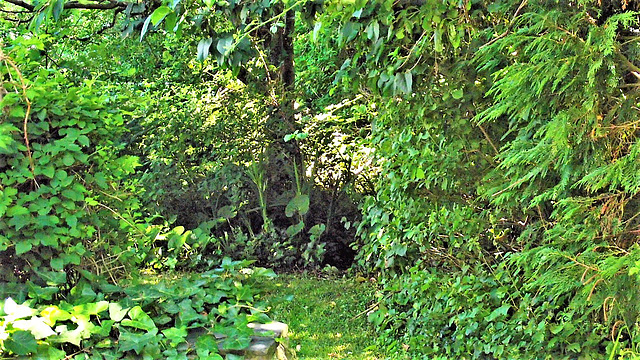 Looking through the gateway to the top lawn