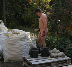 nudist working outdoor nude
