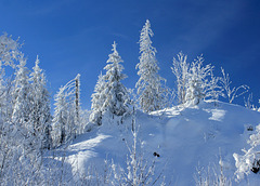 Winterlandschaft