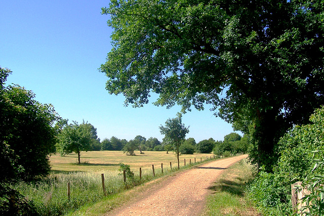 DE - Weilerswist - Floodplains of the Erft