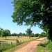 DE - Weilerswist - Floodplains of the Erft