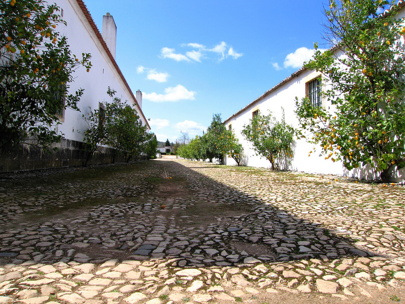 Vila Viçosa - Palace grounds