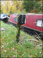 ivy-covered letterbox