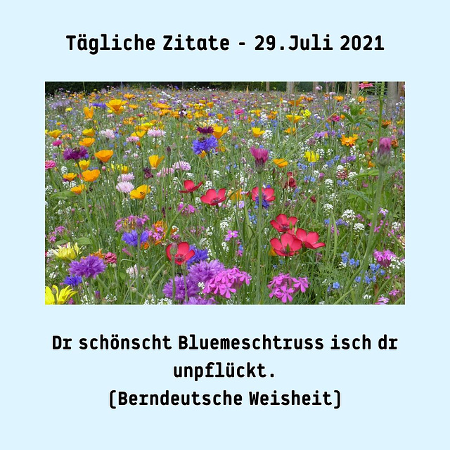 Tägliche Zitate - 29.Juli 2021