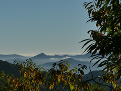 20241013 Rando Col de Bes (Cévennes) (78)