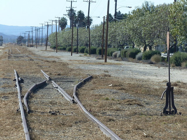 Disused Railroad Track near Hemet (4) - 12 November 2015