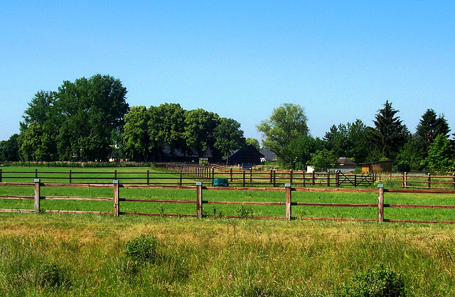 DE - Weilerswist - Floodplains of the Erft