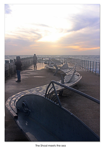 The Shoal and the sea - Seaford - 29.11.2018