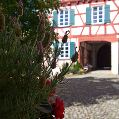 composition composition