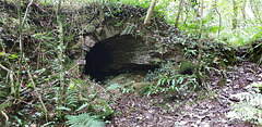 Ancient Culvert