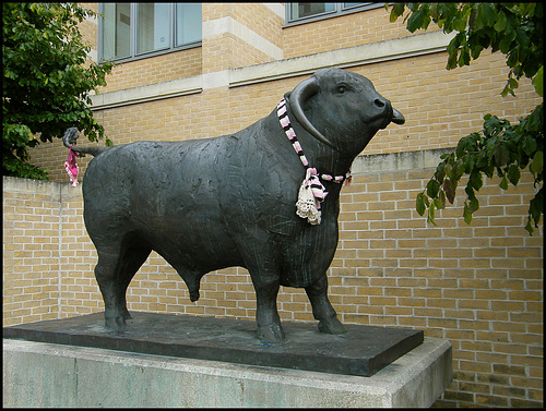 gender fluid ox