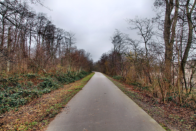 Radweg auf der ehem. Trasse der Zollvereinbahn (Essen-Schonnebeck) / 21.01.2023