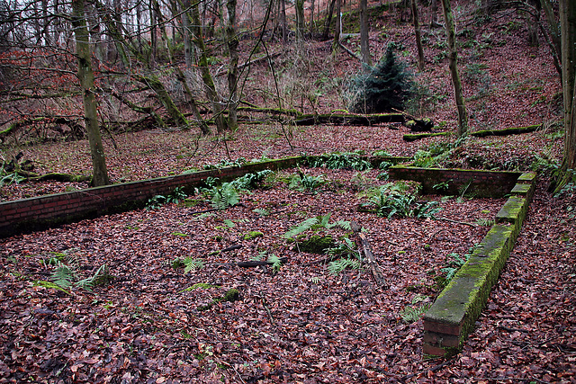 Zeche Maximus, Fundamentreste eines Maschinenhauses (Witten-Bommern) / 10.12.2024