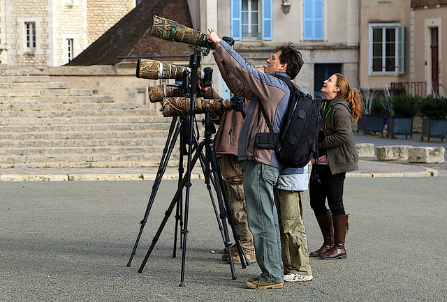 Observation de faucons sur la cathédrale de Chartres . Je me suis senti diminué avec mon 24-105