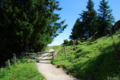 Wanderweg am Kronberg (© Buelipix)