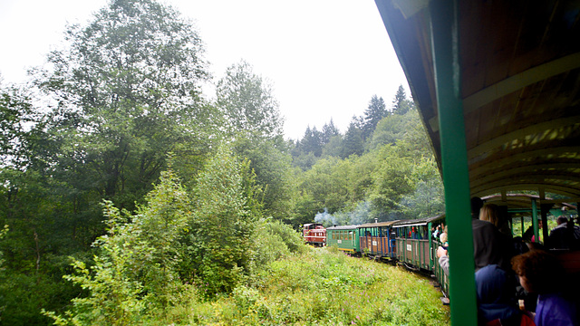 Bieszczadzka Forest Railway