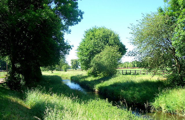 DE - Weilerswist - Floodplains of the Erft