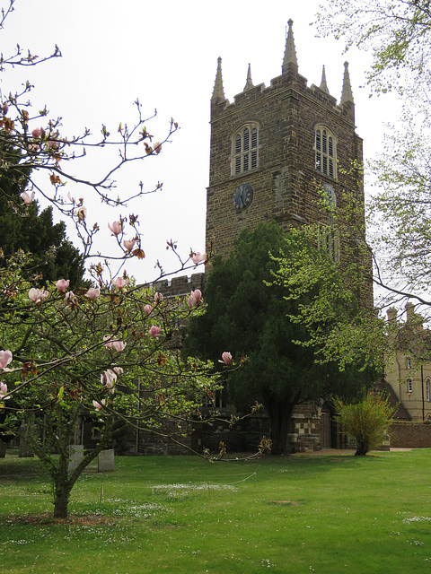 blunham church, beds (37)