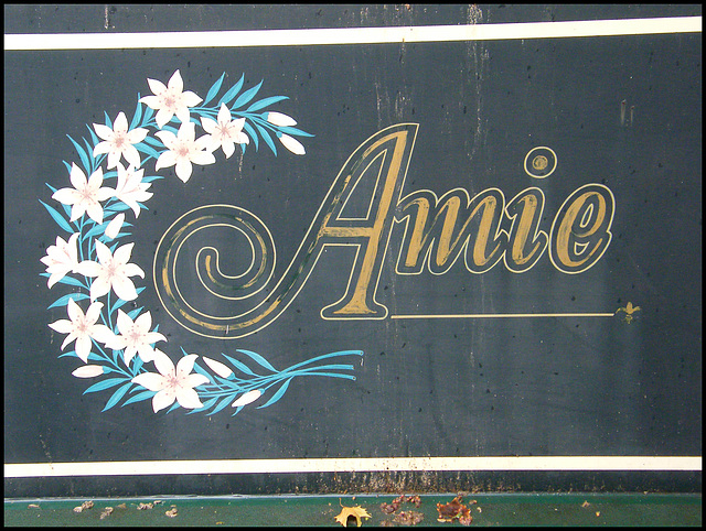 Amie