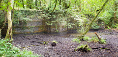 Ancient Dam spillway