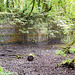 Ancient Dam spillway