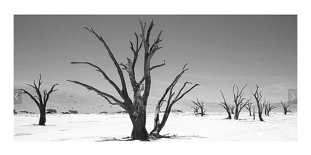 Spiel mit dem Smartphone........ Namibia Deadvlei