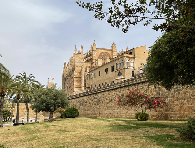 City walls and cathedral, Palma