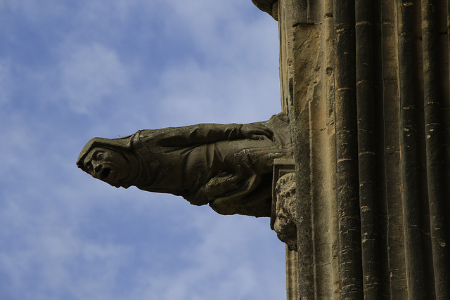 Rain Spout