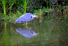 is that me, no way ! is that me, no way !