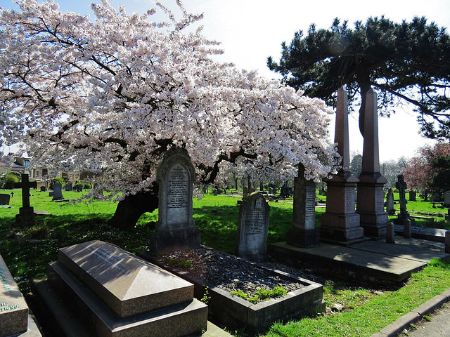 paddington cemetery, brondesbury, london