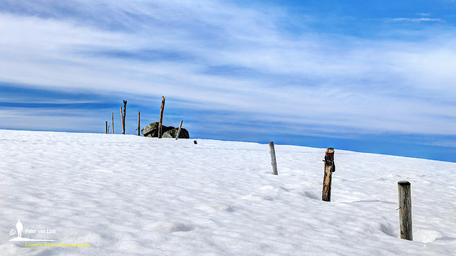 Nordic Spring - Emerge