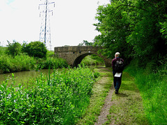 Ashby Canal Bridge 20