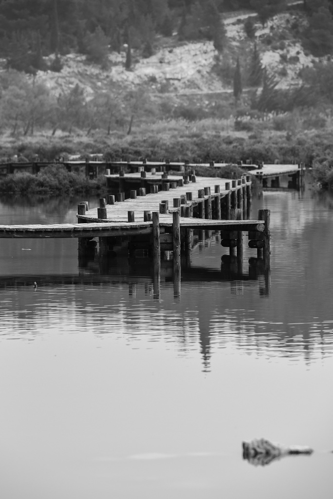 DSC 0090
