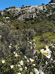 The Valdemanco climbing crags, used primarily as a training ground although there are a few more challenging routes.