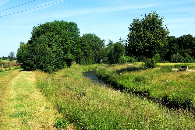 DE - Weilerswist - Floodplains of the Erft