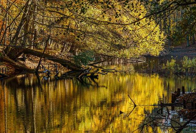 Herbstfarben-1