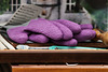 Purple Sprouting Gardening Gloves