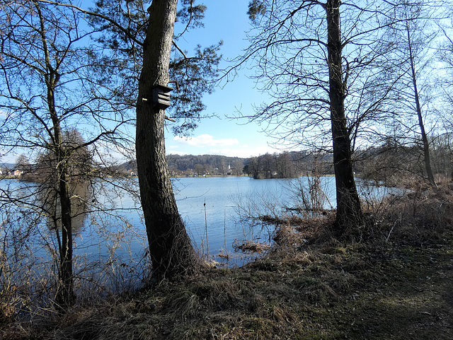 Am Saltendorfer Weiher