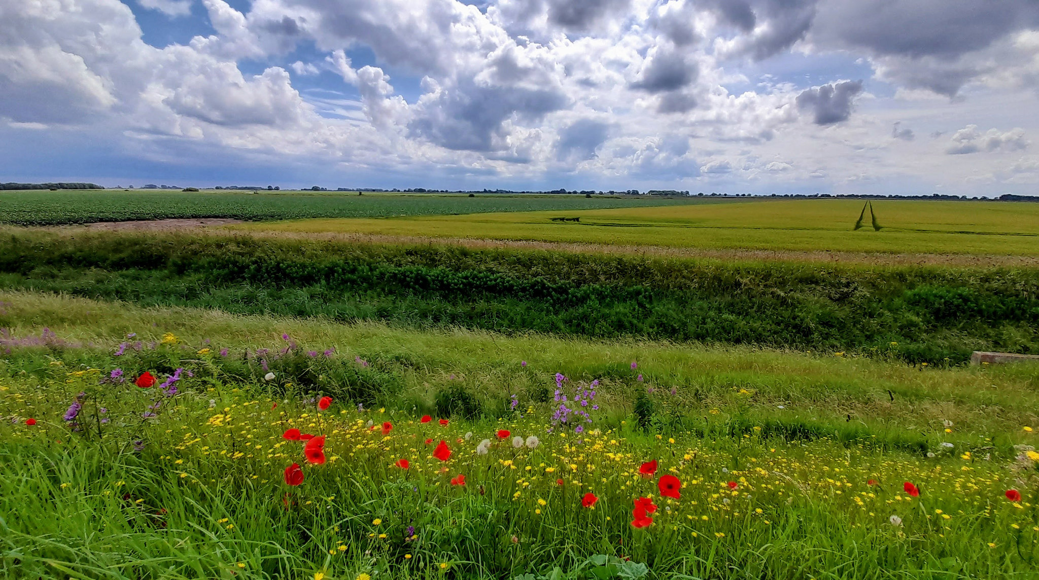 The flat lands of Lincolnshire