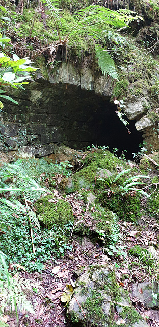 Ancient Culvert