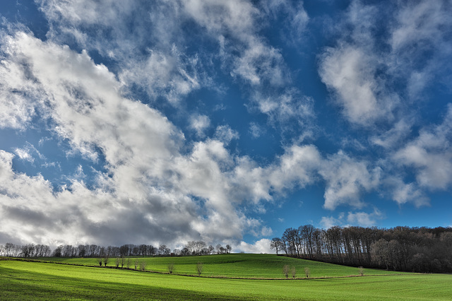 Grün-Blauer Wintertag