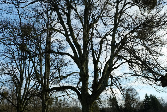 Dans le Parc du Château de la Ferté-Vidame