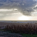 Praia de Miramar, Portugal