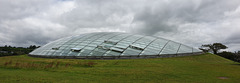 The Glasshouse