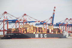 MSC ADYA