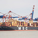 MSC ADYA