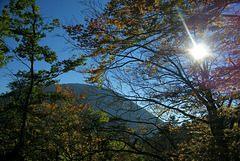 Automne en Ardèche (07)**********