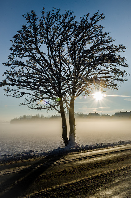 Wintersonne