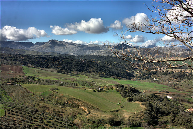 Ronda -> Sierra de Grazalema